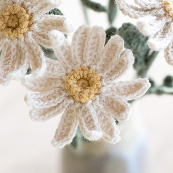 Daisies - Crochet Kit