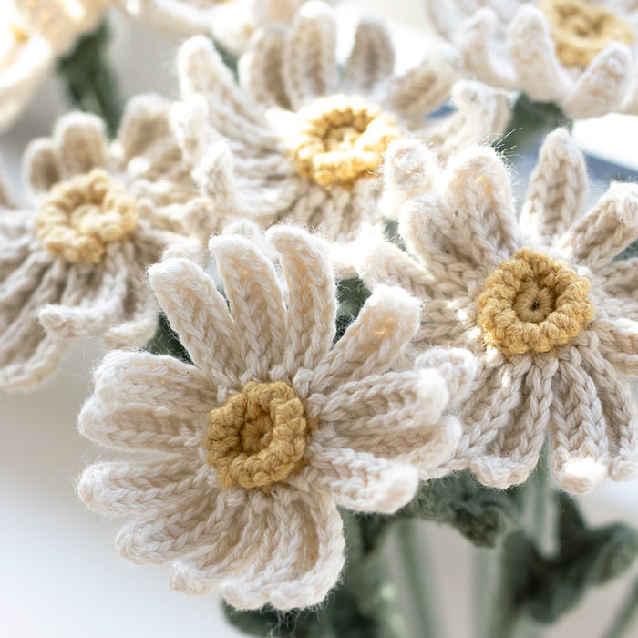 Daisies - Crochet Kit