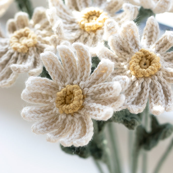 Daisies - Crochet pattern