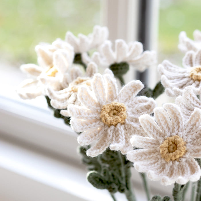 Daisies - Crochet Kit