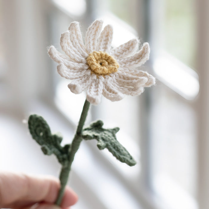 Daisies - Crochet Kit